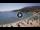 Webcam in Cavoli (Elba), 13.4 km