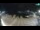 Webcam in Medulin, 0.4 km