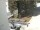 Webcam in Neukirchen b.Hl.Blut, 0 mi away