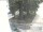Webcam in Neukirchen b.Hl.Blut, 9 mi away