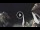 Webcam in Chora Sfakion (Crete), 0.1 mi away
