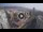 Webcam in Santa Cruz de Tenerife, 1.1 km