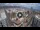 Webcam in Santa Cruz de Tenerife, 5.4 mi away