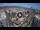 Webcam in Santa Cruz de Tenerife, 14 km entfernt