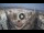 Webcam in Santa Cruz de Tenerife, 5.4 mi away
