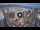 Webcam in Santa Cruz de Tenerife, 0.5 mi away