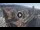 Webcam in Santa Cruz de Tenerife, 0.6 km