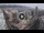 Webcam in Santa Cruz de Tenerife, 0.5 mi away