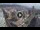 Webcam in Santa Cruz de Tenerife, 0.6 km