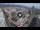 Webcam in Santa Cruz de Tenerife, 0.2 mi away