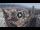 Webcam in Santa Cruz de Tenerife, 0.5 mi away