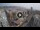 Webcam in Santa Cruz de Tenerife, 2.7 mi away