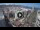 Webcam in Santa Cruz de Tenerife, 6.9 km