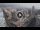 Webcam in Santa Cruz de Tenerife, 2.5 km