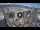 Webcam in Santa Cruz de Tenerife, 1.3 km