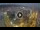 Webcam in Ténérife - Santa Cruz de Ténérife, 14 km
