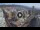 Webcam in Santa Cruz de Tenerife, 1.1 km entfernt