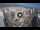 Webcam in Santa Cruz de Tenerife, 0.5 mi away