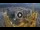 Webcam in Santa Cruz de Tenerife, 0.5 mi away