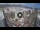 Webcam in Santa Cruz de Tenerife, 0.5 mi away