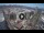 Webcam in Santa Cruz de Tenerife, 6.9 km