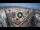 Webcam in Santa Cruz de Tenerife, 1.4 km
