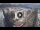 Webcam in Santa Cruz de Tenerife, 0.5 mi away