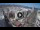 Webcam in Santa Cruz de Tenerife, 0.5 mi away