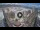 Webcam in Santa Cruz de Tenerife, 0.5 mi away