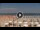 Webcam in Lido delle Nazioni, 19.4 mi away