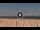 Webcam in Lido delle Nazioni, 50.5 km