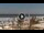 Webcam in Lido delle Nazioni, 50.5 km