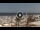 Webcam in Lido delle Nazioni, 0 mi away