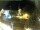 Webcam in Holzkirchen, 11.6 km