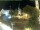 Webcam in Holzkirchen, 2.9 mi away