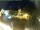 Webcam in Holzkirchen, 16.9 km