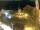 Webcam in Holzkirchen, 5.9 mi away