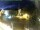 Webcam in Holzkirchen, 8.2 mi away