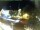 Webcam in Holzkirchen, 11.6 km