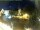 Webcam in Holzkirchen, 3.4 mi away