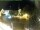 Webcam in Holzkirchen, 21.3 km