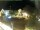 Webcam in Holzkirchen, 15.3 km