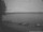Webcam in Liblar, 51.1 km