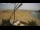 Webcam in El Gouna, 89.8 km entfernt