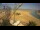 Webcam in El Gouna, 145.9 km