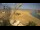Webcam in El Gouna, 36.2 km