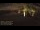 Webcam in Vero Beach, Florida, 209.9 km