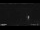 Webcam in Lerici, 6.3 km