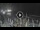 Webcam in Marina di Camerota, 17 mi away