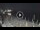 Webcam in Marina di Camerota, 31.5 km entfernt